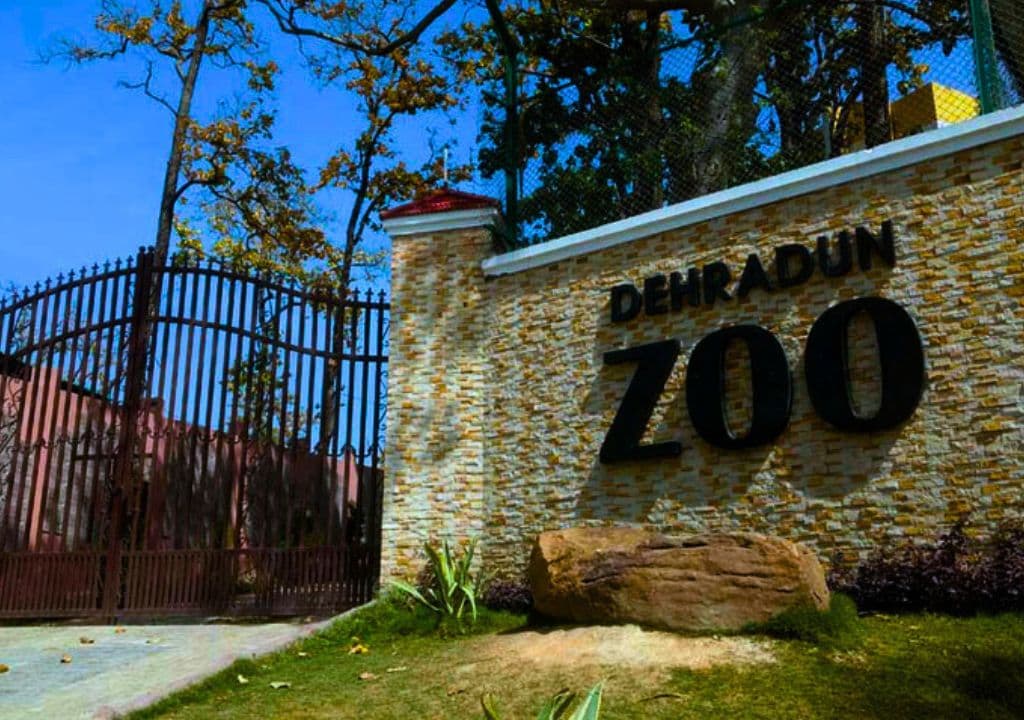 Malsi Deer Park with deer and natural surroundings